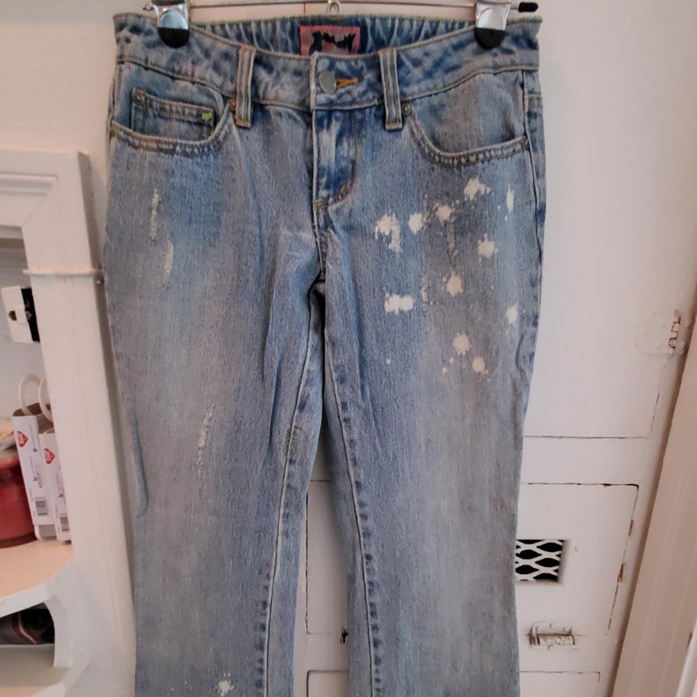 Fox Distressed Flared Jeans